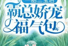 一胎三宝后,霸总娇宠福气包(陆北城江如意)最新章节免费在线阅读-冰糖文学
