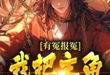 有冤报冤,我把主角宠刀尖精彩章节阅读(顾长清)免费阅读大结局-冰糖文学