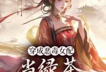 小说胡说，她才不是坏女人！（乔挽颜）最新章节在哪看-冰糖文学
