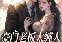 豪门老板太缠人，为她折腰为她疯无弹窗沈雾徐宴行最新章节列表-冰糖文学