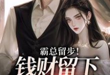 霸总留步!钱财留下爱带走(主角白挽盛云客)完结版免费阅读-冰糖文学