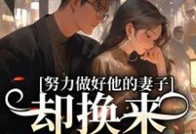 主人公是姜晚漓的小说努力做好他的妻子，却换来不被尊重免费阅读-冰糖文学