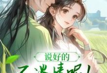说好的不谈情呢！王爷请自制热门小说(风潇潇陆舟渊)在线阅读无弹窗-冰糖文学