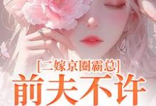 二嫁京圈霸总，前夫不许来捣乱（主角阮莞厉渊）完结版免费阅读-冰糖文学
