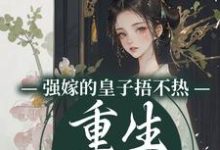 强嫁的皇子捂不热,重生她不要了精彩章节阅读(沈安安)免费阅读大结局-冰糖文学