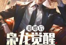 退婚后，枭龙觉醒，镇压当世（主角楚风甄姬）完结版免费阅读-冰糖文学