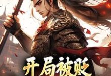 开局被贬，我要掠夺江山免费阅读，赵惊鸿嬴政大结局无弹窗-冰糖文学