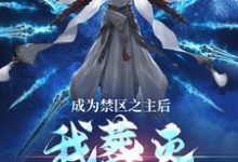 求助这本成为禁区之主后,我葬灭万古诸天小说在哪里可以看完结版-冰糖文学