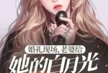 精彩章节阅读婚礼现场,老婆给她的白月光唱情歌(楚江)免费小说在线看-冰糖文学