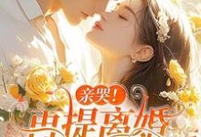 求助这本亲哭！再提离婚，霍总彻底失控了小说在哪里可以看完结版-冰糖文学