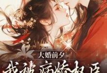 求助这本大婚前夕，我被病娇权臣强取豪夺了小说在哪里可以看完结版-冰糖文学