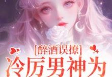 主人公是厉霆之宁晚晚的小说醉酒误撩!冷厉男神为她沦陷情海免费阅读-冰糖文学