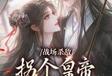 战场杀敌,拐个皇帝当男宠小说最新章节在哪里可以免费看-冰糖文学