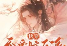 快穿：恋爱脑反派不接受BE剧本大结局，戴柯墨枭小说无广告阅读-冰糖文学
