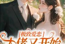 极致爱恋,大佬又开始攻心了免费阅读(季染傅京渊)小说免费读最新章节-冰糖文学