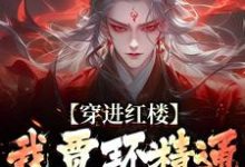 穿进红楼，我贾环精通朝堂争斗免费阅读(贾环)小说免费读最新章节-冰糖文学