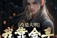 精彩章节阅读改造大明：我靠金手指夺江山(朱高炽)免费小说在线看-冰糖文学