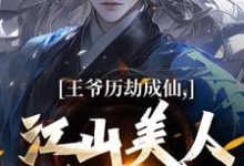 主角是陆澈的小说王爷历劫成仙，江山美人全在手在哪免费看-冰糖文学