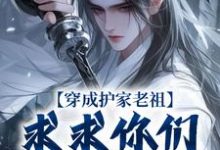 穿成护家老祖，求求你们积点德吧精彩章节阅读(秦禾柳青元)免费阅读大结局-冰糖文学