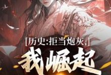 历史:拒当炮灰,我崛起收复河山免费阅读,王克张煌言大结局无弹窗-冰糖文学