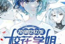 拒绝吃软饭，校花学姐气哭了小说最新章节在哪里可以免费看-冰糖文学