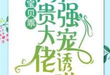 宝贝乖:高贵大佬在强宠诱哄大结局, 简以宁陆怀瑾小说无广告阅读-冰糖文学