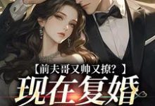 前夫哥又帅又撩？现在复婚来得及吗（主角安婳肖政）完结版免费阅读-冰糖文学
