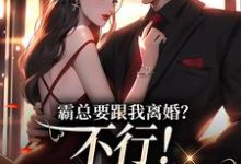 霸总要跟我离婚?不行!我身无分文在线看,覃笙小说大结局在哪免费看-冰糖文学