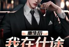 重生后，我在仕途一路狂飙热门小说(林来娣)在线阅读无弹窗-冰糖文学
