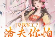 夺我军工?渣夫你怕是没命享(凌朝歌南宫阎)完结版免费阅读-冰糖文学