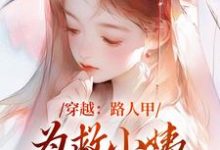 穿越:路人甲为救小姨翻身变女主精彩章节阅读(青雪)免费阅读大结局-冰糖文学