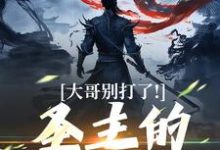 小说大哥别打了！圣主的心都碎了（陈寻）最新章节在哪看-冰糖文学