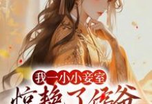 我一小小妾室,惊艳了侯爷很合理吧(叶青芷谢晋)最新章节免费阅读-冰糖文学