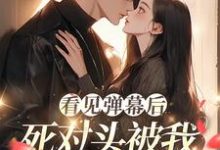 小说看见弹幕后，死对头被我钓成翘嘴主角温絮顾黎川免费阅读-冰糖文学