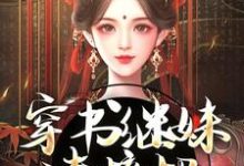 小说穿书继妹请接招,我是重生者!主角谢惜棠免费阅读-冰糖文学