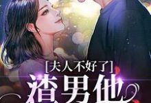 夫人不好了！渣男他要求爱（黎岁霍砚舟）最新章节在线阅读-冰糖文学