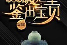 陆飞最新章节列表震惊！我能从破烂里鉴出宝贝！免费阅读-冰糖文学