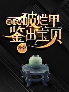 陆飞小说的结局在哪可以看，震惊！我能从破烂里鉴出宝贝！免费阅读完结版