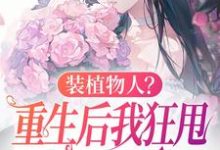装植物人？重生后我狂甩渣男耳光（云冉）最新章节在线阅读-冰糖文学