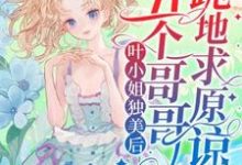 跪求主角是叶簌簌的小说书名叫什么-冰糖文学