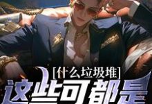 跪求主角是程乞的小说书名叫什么-冰糖文学