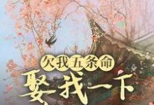 欠我五条命,娶我一下怎么了?完结版玉沁宋祁免费阅读大结局-冰糖文学