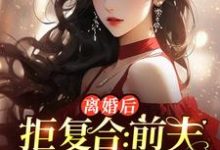 小说离婚后拒复合:前夫儿子悔断肠主角沈寒星免费阅读-冰糖文学