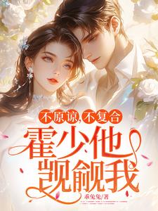 不原谅，不复合，霍少他觊觎我热门小说(苏眠)在线阅读无弹窗
