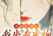 不搞权谋后，我坐看废物儿女作死精彩章节阅读(姜明珠)免费阅读大结局-冰糖文学