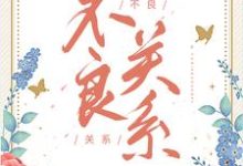 桑胤衡南枫小说的结局在哪可以看，不良关系免费阅读完结版-冰糖文学