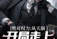 绝对权力：从天崩开局走上官途巅峰无弹窗徐子杰宁傲雪最新章节列表-冰糖文学