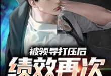 孙平安林若薇小说的结局在哪可以看,被领导打压后,绩效再次被清零!免费阅读完结版-冰糖文学