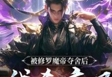 被修罗魔帝夺舍后，我杀疯了最新章节被修罗魔帝夺舍后，我杀疯了在线阅读-冰糖文学