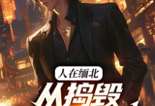 精彩章节阅读人在缅北,从捣毁科技园开始(韩潇)免费小说在线看-冰糖文学
